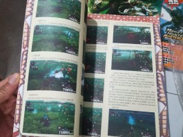 怪物猎人2g完美存档(怪物猎人2g完美存档在哪)