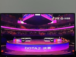 wcg2012dota世界总决赛(2012wcg dota总决赛)