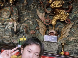 神武化生寺孩子(神武化生孩子加点和打书)