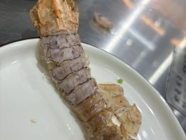 皮皮虾传奇(皮皮虾传奇内购破解版)