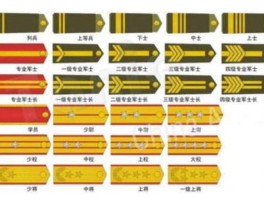 军衔修改器(军衔升级游戏)