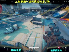 三角洲南波万MP7(三角洲杨齐家拯救大兵)