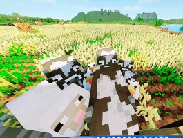 我的世界服务器制作(我的世界服务器小游戏制作)