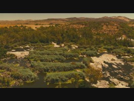 侠盗飞车:狂野之城(侠盗飞车狂野之城作弊码)