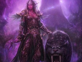 魔兽精灵(魔兽精灵族英雄有哪些)