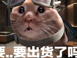 三角洲行动(三角洲行动官网入口)