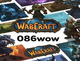 关于魔兽世界私服怎么玩的信息