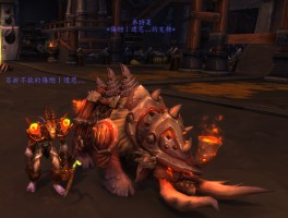 魔兽世界4.3猎人宝宝(tbc243猎人宝宝)