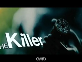 杀手十三攻略(杀手十三攻略百度网盘)