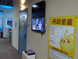 疯狂的麦咭手机游戏(疯狂的麦咭游戏叫什么)