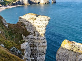 诺曼底下载手机版(诺曼底安卓破解版无限金币版)