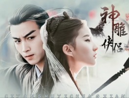 梦幻神雕侠侣(梦幻神雕职业)