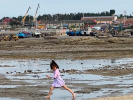 关于df·qqcom的信息