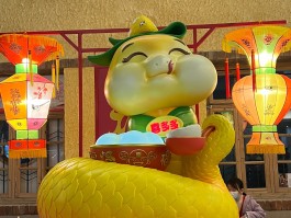 身上是七彩颜色的蛇(身上是七彩颜色的蛇图片)