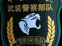 反恐精英突击队(反恐突击精英部队)