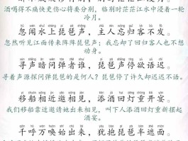 胡姬琵琶行副本歌词(胡姬琵琶行副本在哪进)