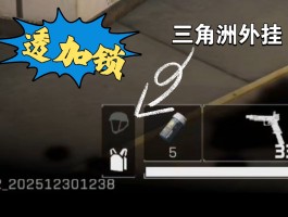 三角洲游戏开挂器(永久免费)(三角洲游戏开挂器永久免费电脑版)