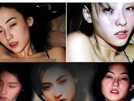 张柏芝被追缴1200万港元(张柏芝被追缴1200万港元是哪一年)