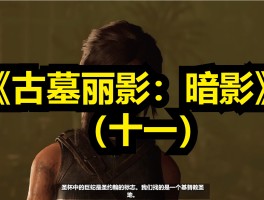 古墓丽影9怎么设置中文(古墓丽影9怎么设置中文方法视频教程)