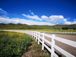 顶级跑马牧场攻略(顶级跑马牧场技能搭配)