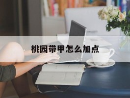 桃园带甲怎么加点(桃园带藤甲还是陷阵)