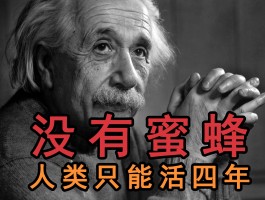 洛克王国爱因斯坦在哪(洛克王国爱因斯坦的黑板怎么拿)