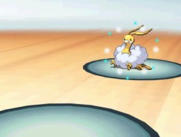 口袋妖怪黑二周目(口袋妖怪黑二周目神兽捕捉)