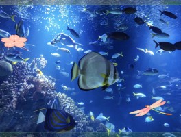 梦幻海底辅助(爱玩coc免费辅助官网入口)