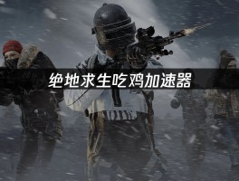 吃鸡加速器(吃鸡加速器多少钱一年)