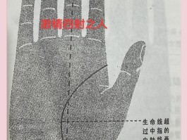 生命线攻略(生命线攻略图解大全)