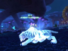 魔兽世界5.2灵魂兽(魔兽世界灵魂兽位置全部坐标2020)