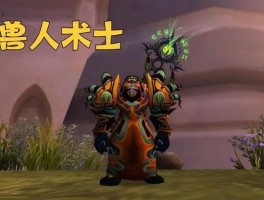 魔兽世界术士(魔兽世界术士种族推荐)