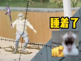 三角洲哈基蜂搞笑动画视频(三角洲麦小雯图片)