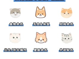 qq炫舞宠物名字(炫舞宠物名字可爱洋气)