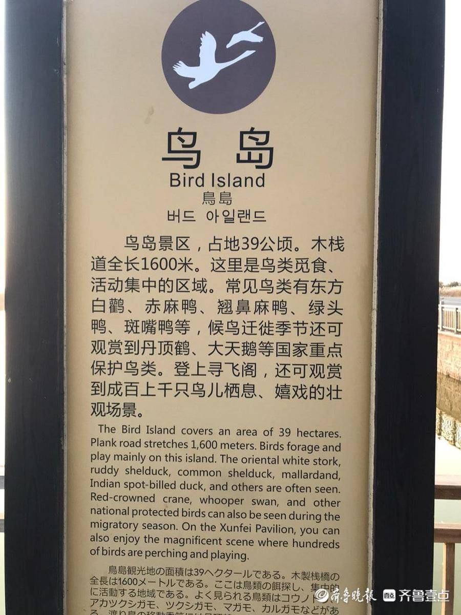 三角洲官网入口登录(三角洲行动官网首页)